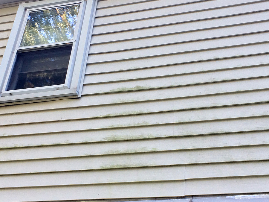 Improper Siding Installation